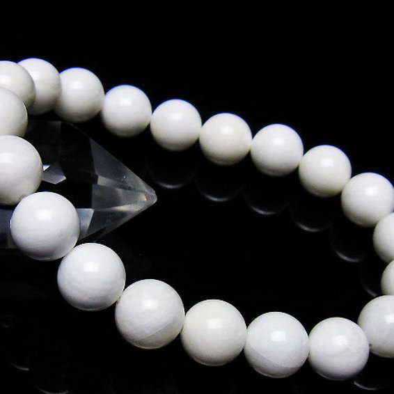 シャコガイブレスレット 10mm [t217-1556]