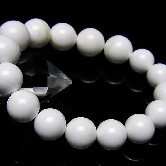 シャコガイブレスレット 12mm [t217-1569]