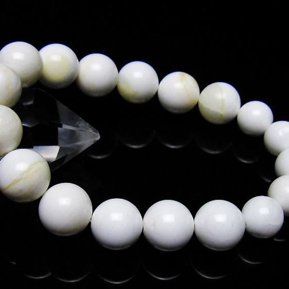 シャコガイブレスレット 10mm [t217-1577]