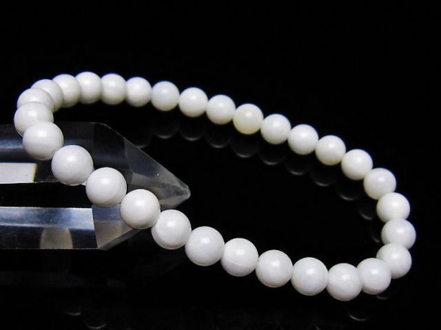 シャコガイブレスレット 6mm [t217-1607]