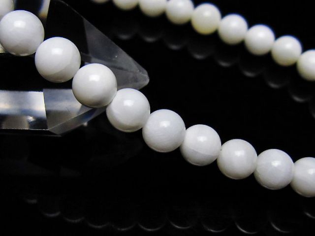シャコガイブレスレット 6mm [t217-1607]