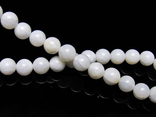 シャコガイブレスレット 6mm [t217-1628]