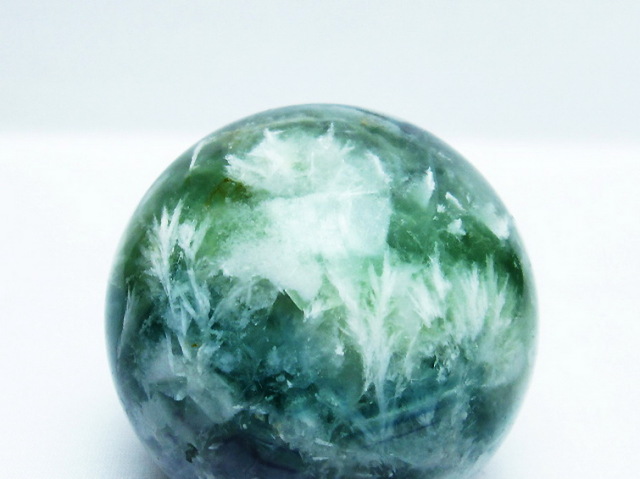 【フォロワー限定本日割引き有】エンザイン フローラ フォロワー限定本日割引き有】エンザイン フローラ GENTLE SIGN