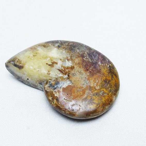 パワーストーン 天然石 アンモナイト化石[T723-1524]