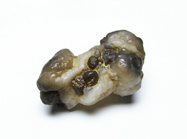 カルセドニーノジュール(球状玉髄) モロッコ産 ツーソン展示会品[T742-507]