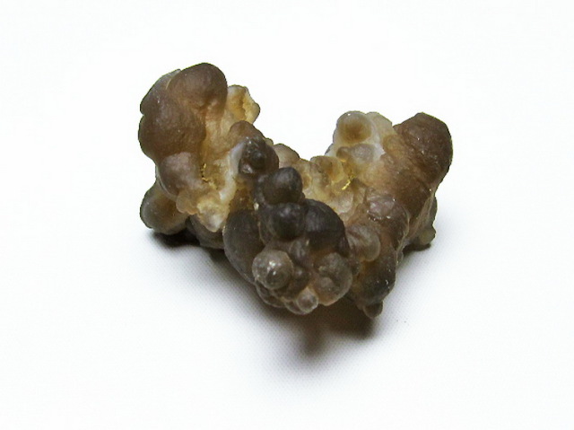 カルセドニーノジュール(球状玉髄) モロッコ産 ツーソン展示会品[T742-514]