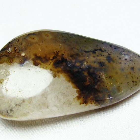 メノウデンドリッククォーツ原石[T763-2628]