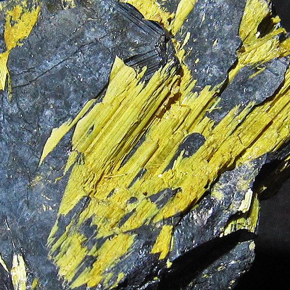 ゴールドタイチンルチルクラスター[T801-195]