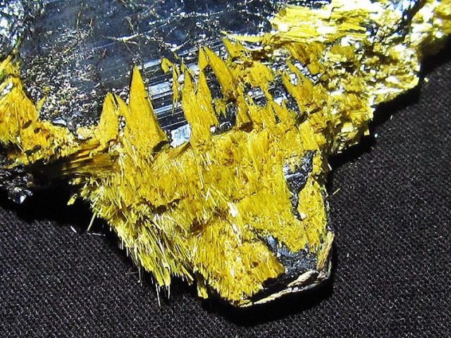 ゴールドタイチンルチルクラスター[T801-227]