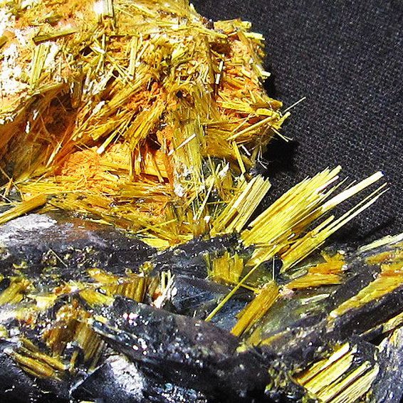 ゴールドタイチンルチルクラスター[T801-264]