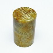 フォッシルコーラル 円柱形 タンブル（穴なし） 化石珊瑚[T155-2176]