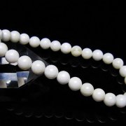 シャコガイブレスレット 6mm [t217-1545]