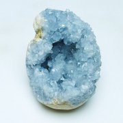 注目の 専用出品❀ベン石~泗浜浮石~北投石✧テラヘルツ鉱石