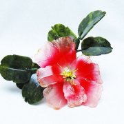 アゲートツツジ鉢植え置物[T726-1598]