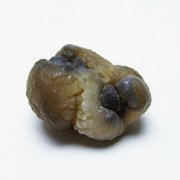 カルセドニーノジュール(球状玉髄) モロッコ産 ツーソン展示会品[T742-616]