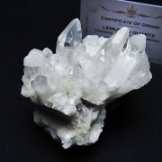 レムリアンシード 水晶 クラスター ミナスジェライス州コリント産 ※証明書付き[T759-1253]