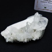 レムリアンシード 水晶 クラスター ミナスジェライス州コリント産 ※証明書付き[T759-1279]