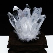 クリスタル（水晶）「レムリアンシード水晶クラスター」の商品一覧