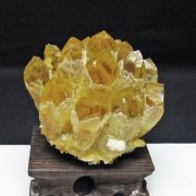 黄水晶 イエロークォーツ クラスター  [t802-6361]