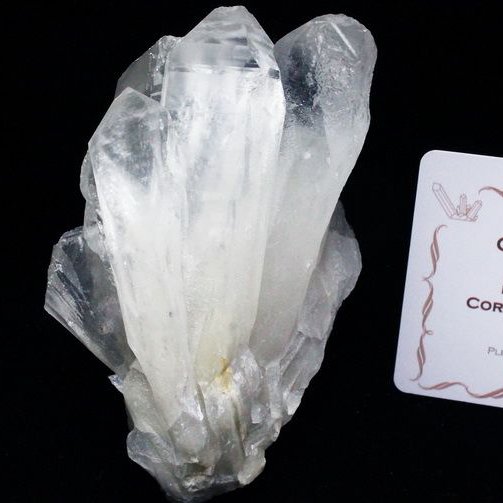 レムリアンシード 水晶 クラスター ミナスジェライス州コリント産 ※証明書付き[T143-2312]