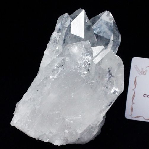 レムリアンシード カテドラルライブラリー水晶クラスター ミナスジェライス州コリント産 ※証明書付き[T143-2317]