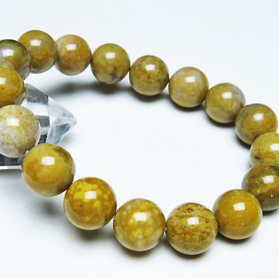 オーシャンジャスパー ブレスレット 13mm [T153-3274]