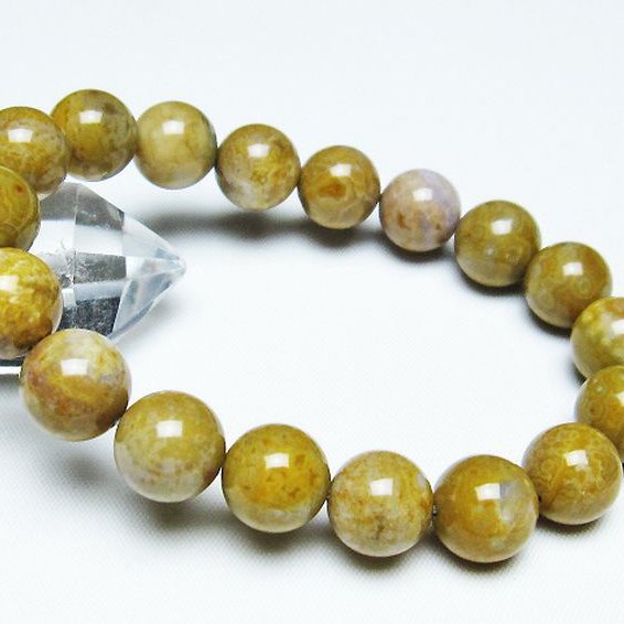 オーシャンジャスパー ブレスレット 12mm [T153-3289]