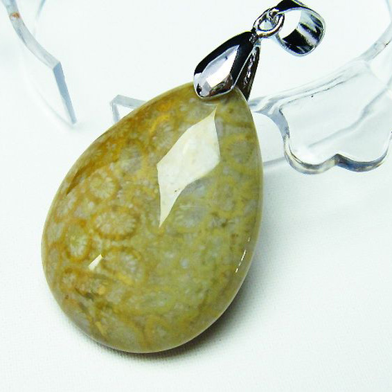 フォッシルコーラル ペンダント 化石珊瑚[T155-1029]