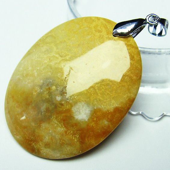 フォッシルコーラル ペンダント 化石珊瑚[T155-1105]