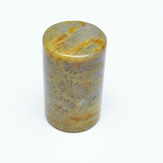 パワーストーン  フォッシルコーラル 円柱形 タンブル（穴なし） 化石珊瑚[T155-2133]