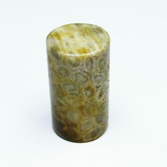 フォッシルコーラル 円柱形 タンブル（穴なし） 化石珊瑚[T155-2219]