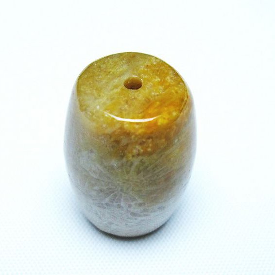 フォッシルコーラル 天珠 化石珊瑚[T155-2306]