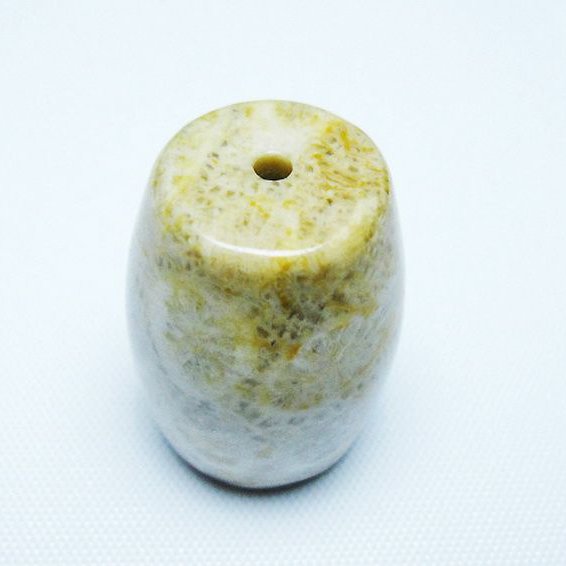 フォッシルコーラル 天珠 化石珊瑚[T155-2329]