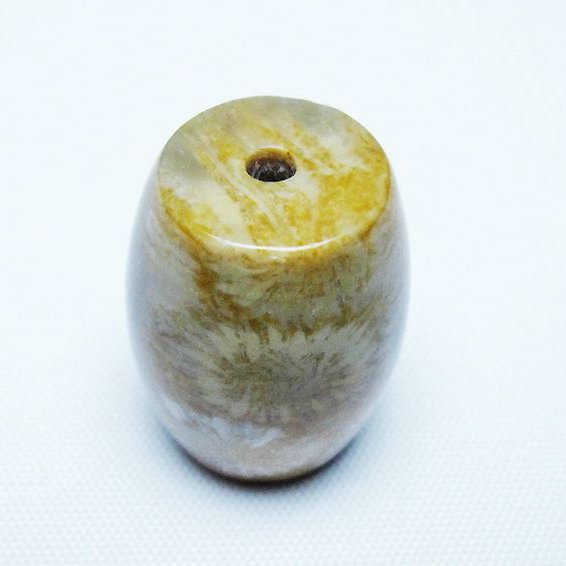 フォッシルコーラル 天珠 化石珊瑚[T155-2341]