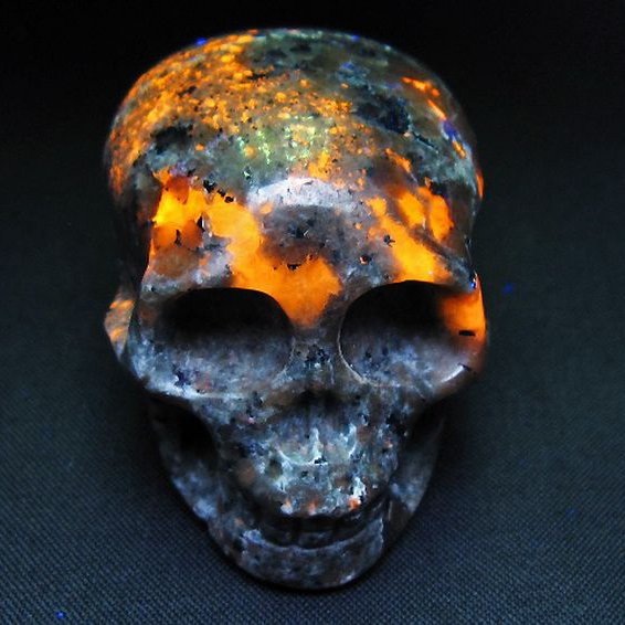 ユーパーライト ドクロ 置物[T292-3293]