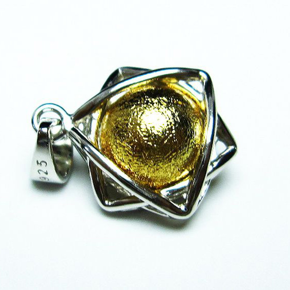 ゴールドギベオン（メテオライト）ペンダント[T309-2356]