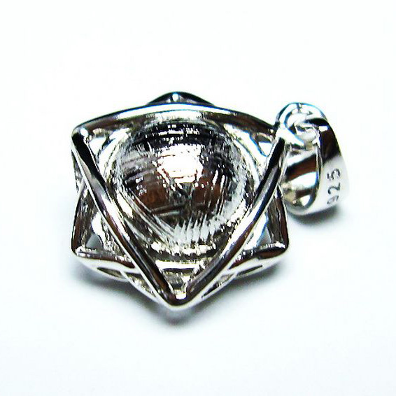 シルバーギベオン（メテオライト）ペンダント[T309-2360]