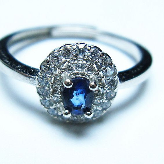 サファイア 指輪(18号)[T351-994]