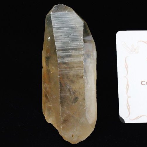 シトリン レムリアンシード水晶原石 ミナスジェライス州コリント産 ※証明書付き[T370-4526]