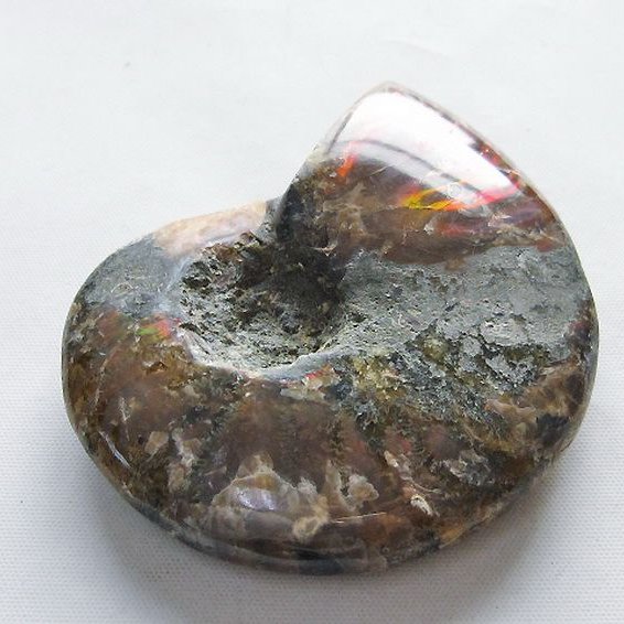 虹入りアンモナイト化石[T570-4970]