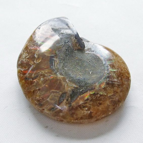 虹入りアンモナイト化石[T570-5005]