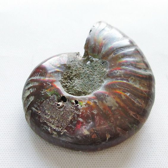 虹入りアンモナイト化石[T570-5060]