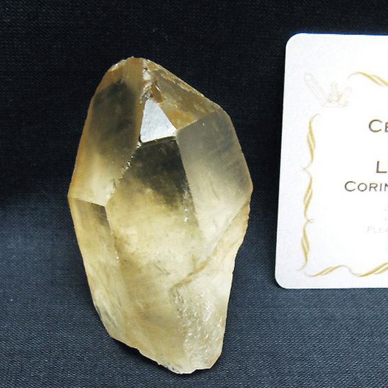 シトリン レムリアンシード水晶原石 ミナスジェライス州コリント産 ※証明書付き[T641-2094]