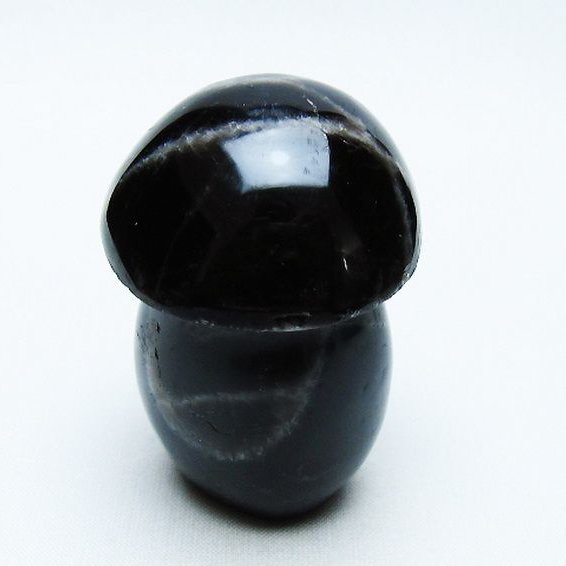 モリオン 純天然 黒水晶 きのこ 置物[T653-4156]