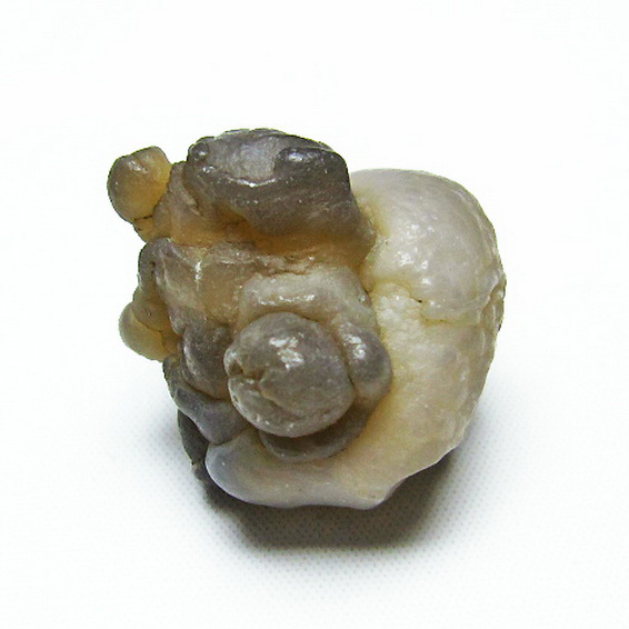 カルセドニーノジュール(球状玉髄) モロッコ産 ツーソン展示会品[T742-396]