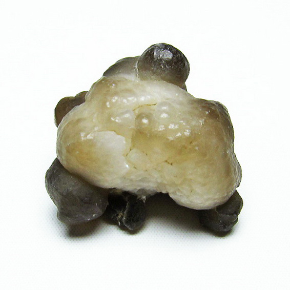 カルセドニーノジュール(球状玉髄) モロッコ産 ツーソン展示会品[T742-460]