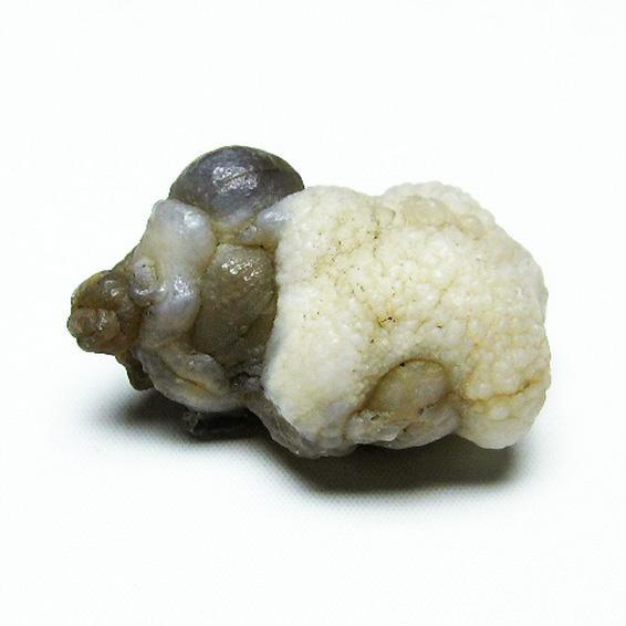 カルセドニーノジュール(球状玉髄) モロッコ産 ツーソン展示会品[T742-464]