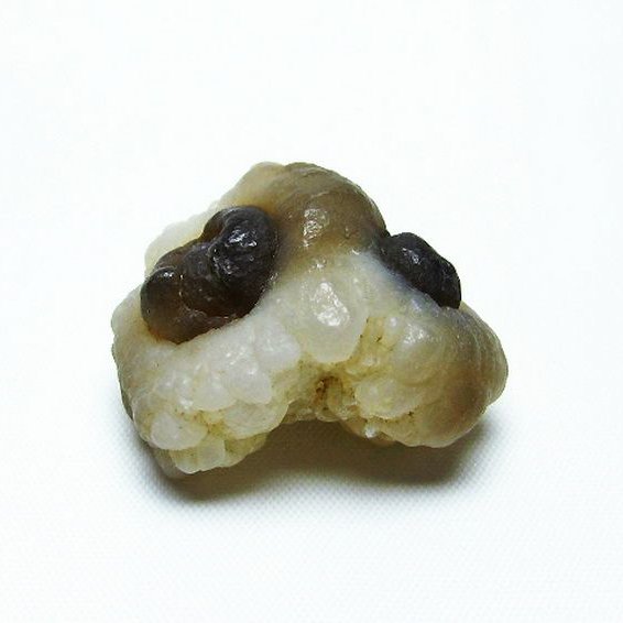 カルセドニーノジュール(球状玉髄) モロッコ産 ツーソン展示会品[T742-557]