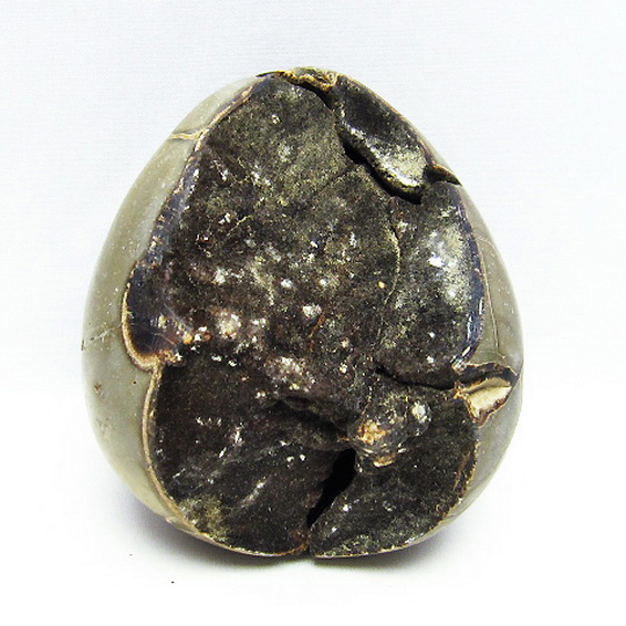 1.1Kg マダガスカル産 タートルジャスパー 丸玉[T761-3081]