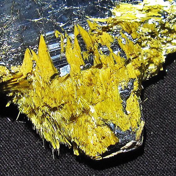 ゴールドタイチンルチルクラスター[T801-227]